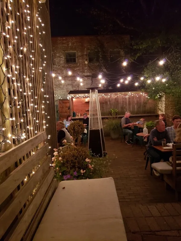 Fairy lights on the trellis wall — or, The Whale back garden